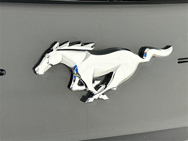 Mustang EcoBoost
