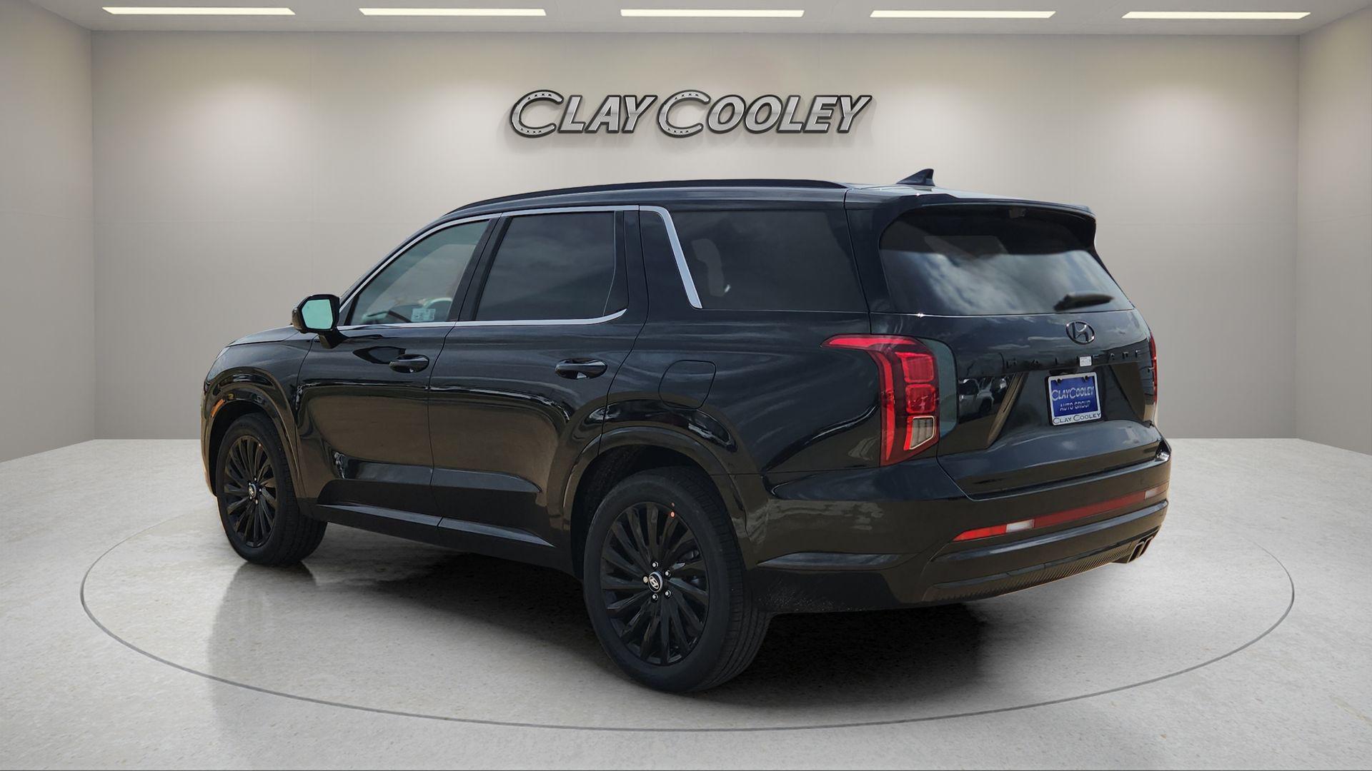 2025 Hyundai Palisade Calligraphy Night Edition - Photo 8