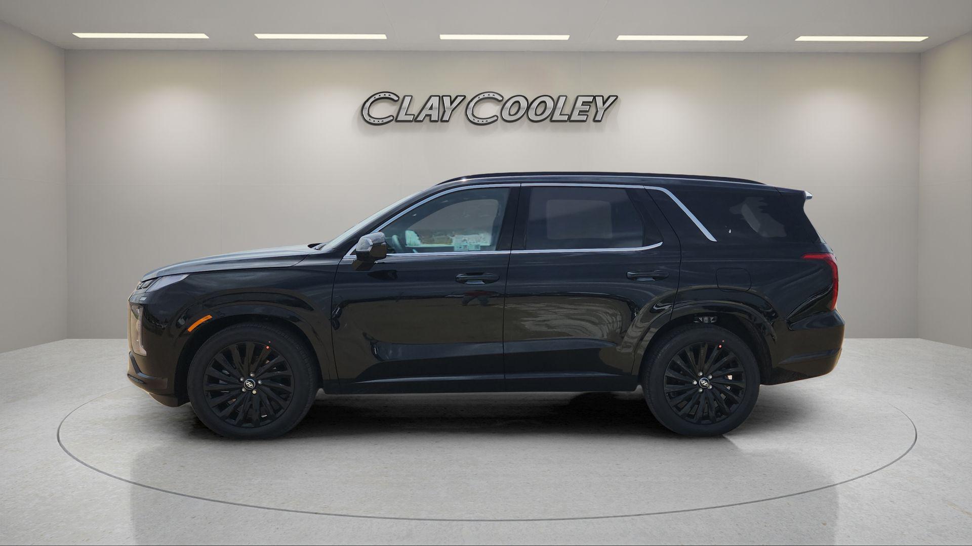 2025 Hyundai Palisade Calligraphy Night Edition - Photo 10