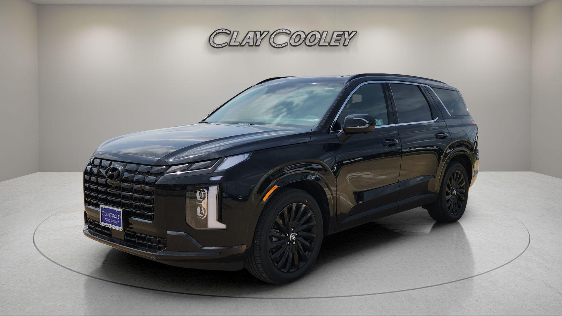 2025 Hyundai Palisade Calligraphy Night Edition - Photo 11
