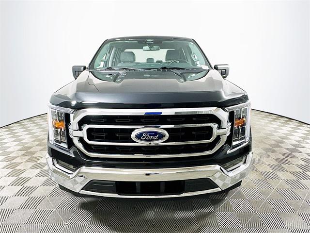 F-150 SuperCrew XLT
