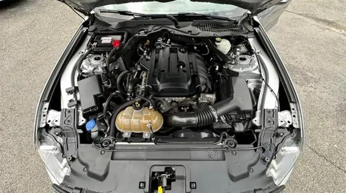 2020 Ford Mustang EcoBoost Premium Convertible