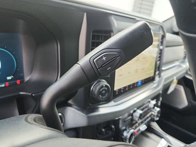 2025 Ford F-250 Platinum