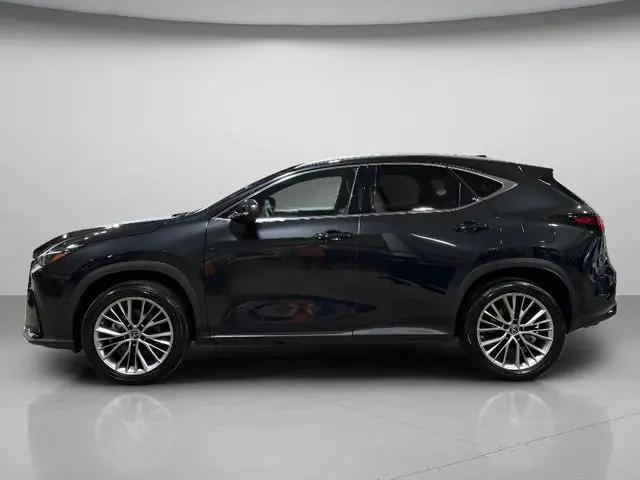 2022 Lexus NX 350h Luxury