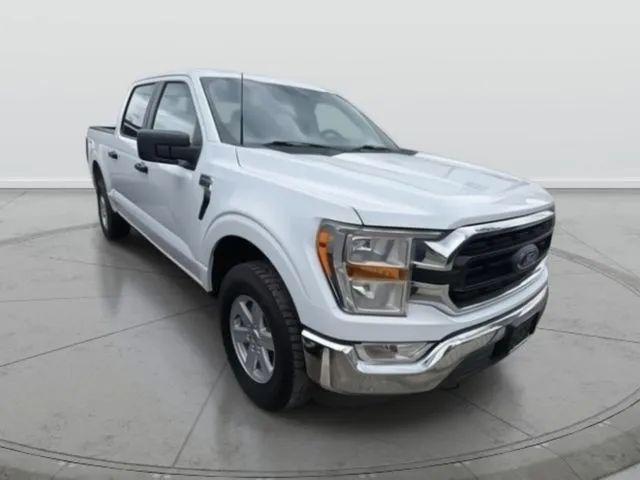 2022 Ford F-150 Tremor for sale in Amityville, NY