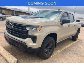 2022 Chevrolet Silverado 1500 4WD Crew Cab Short Bed LT Trail Boss