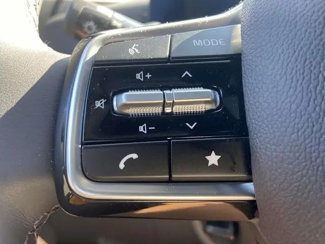 2025 Kia Carnival MPV LXS