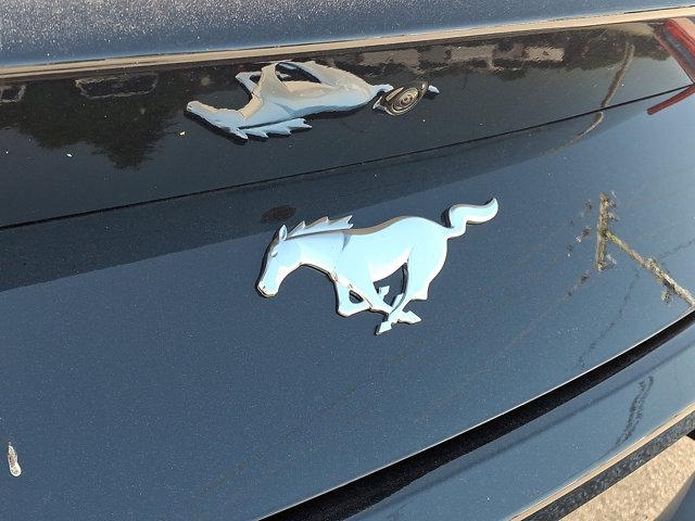 2025 Ford Mustang EcoBoost Fastback
