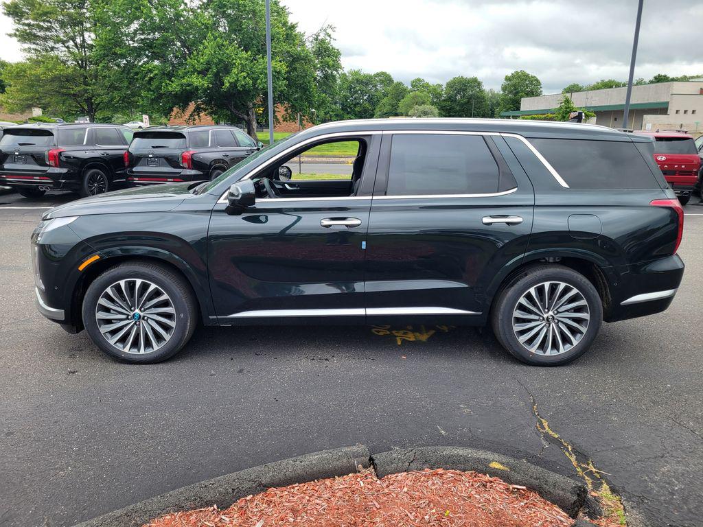 2025 Hyundai Palisade Calligraphy - Photo 8