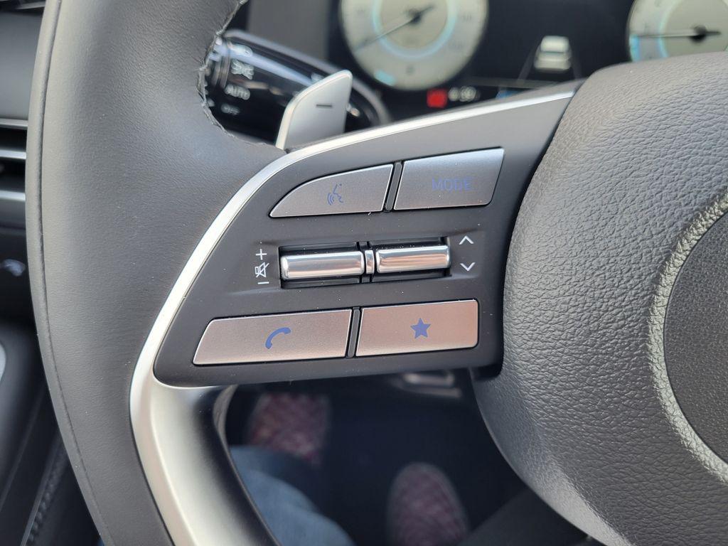 2025 Hyundai Palisade Calligraphy - Photo 19