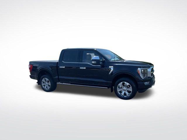 2022 Ford F-150 Platinum 2022 Ford F-150 Platinum