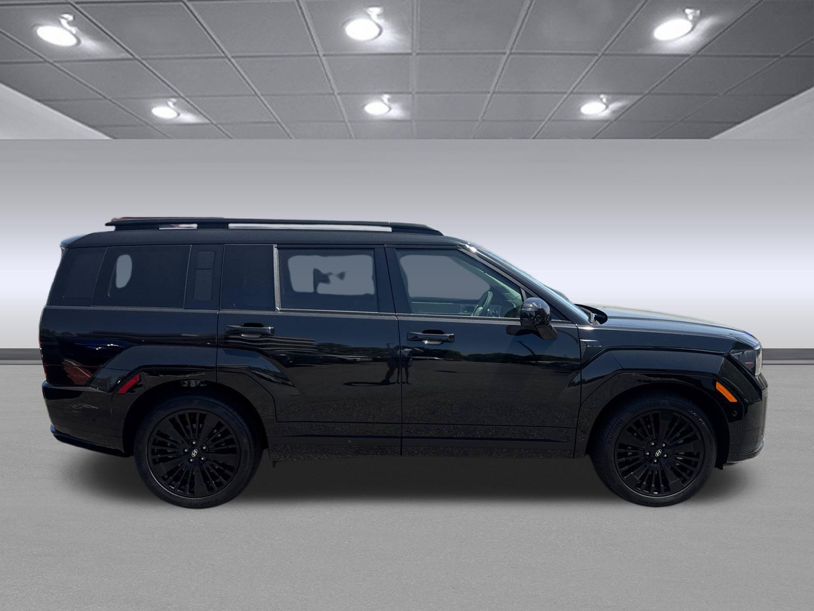 2025 Hyundai Santa Fe Calligraphy - Photo 8