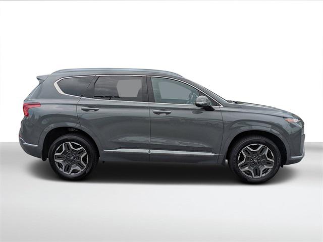 2021 Hyundai Santa Fe Calligraphy