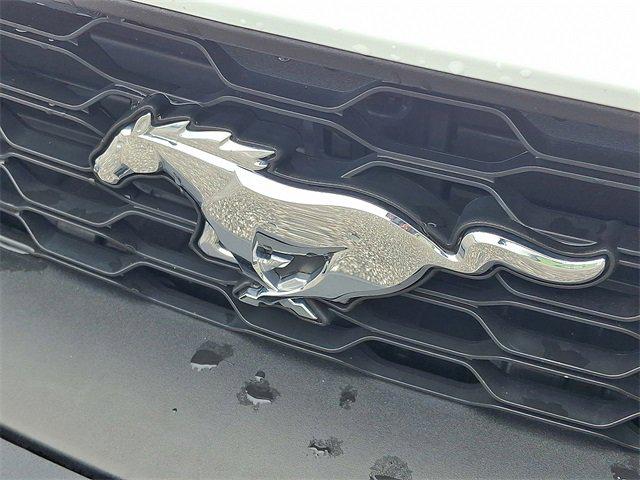 2021 Ford Mustang EcoBoost Fastback