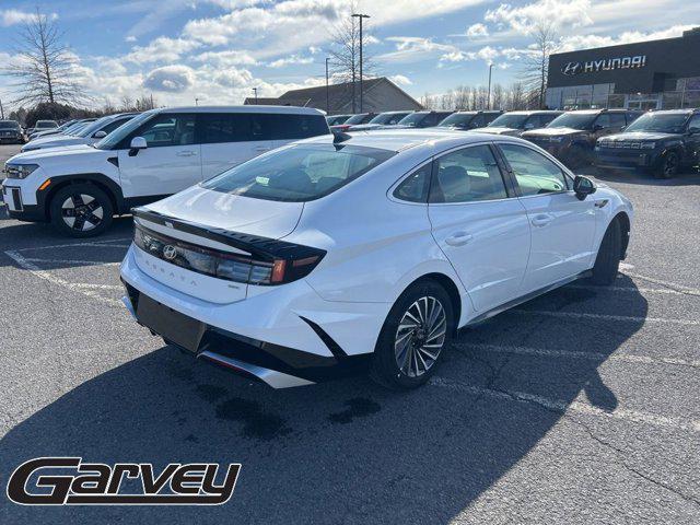 2025 Hyundai Sonata Hybrid SEL