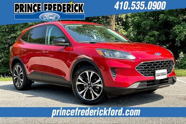 2022 Ford Escape SE 2022 Ford Escape SE