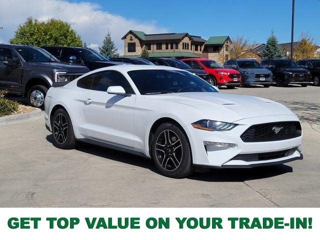 2020 Ford Mustang EcoBoost Fastback 2020 Ford Mustang EcoBoost Fastback