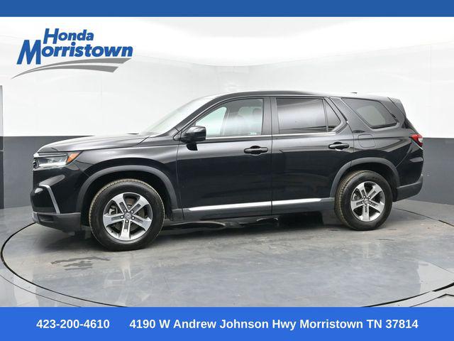 2025 Honda Pilot EX-L for sale in Morristown, TN