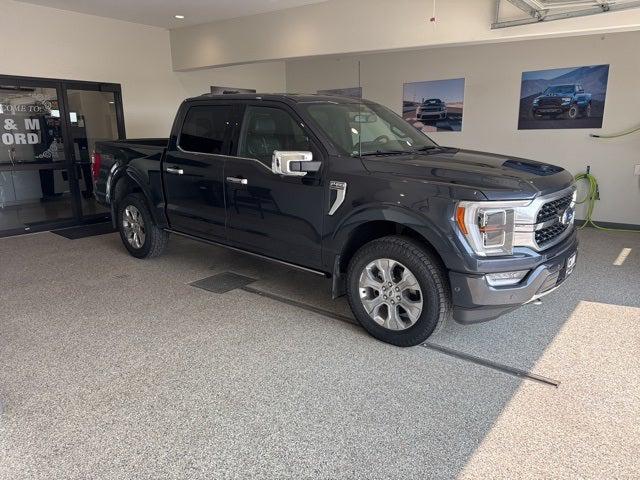 2022 Ford F-150 Platinum 2022 Ford F-150 Platinum