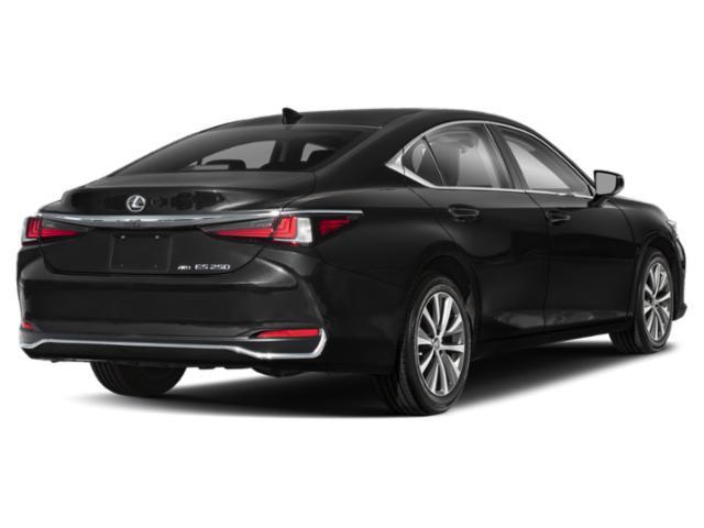 2021 Lexus ES 250 ES 250