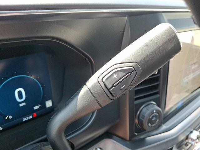 2025 Ford F-250 Platinum