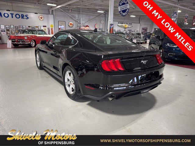 2022 Ford Mustang EcoBoost Fastback 2022 Ford Mustang EcoBoost Fastback