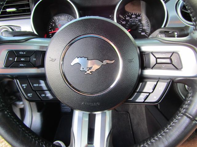 2021 Ford Mustang GT Fastback