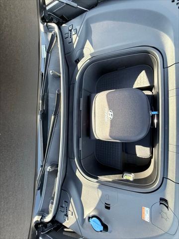 2026 Hyundai IONIQ 9 Performance Calligraphy