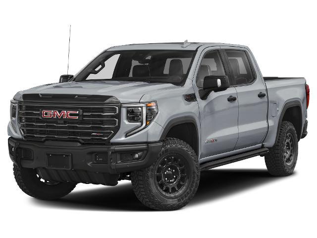 2024 GMC Sierra 1500 4WD Crew Cab Short Box AT4X for sale in Metter, GA