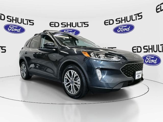 2022 Ford Escape SEL Hybrid for sale in Jamestown, NY