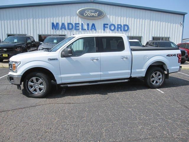 2019 Ford F-150 XLT for sale in Madelia, MN