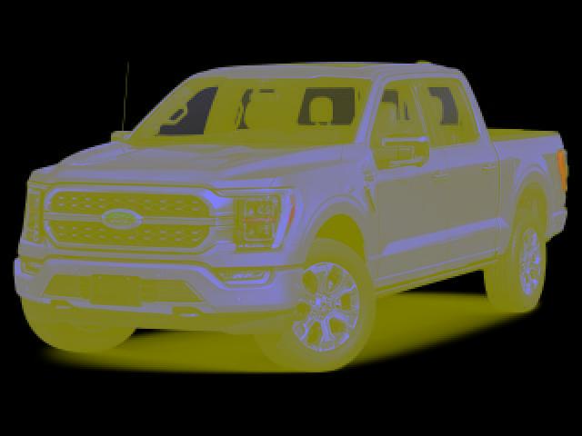 2021 Ford F-150 Platinum for sale in Lehighton, PA