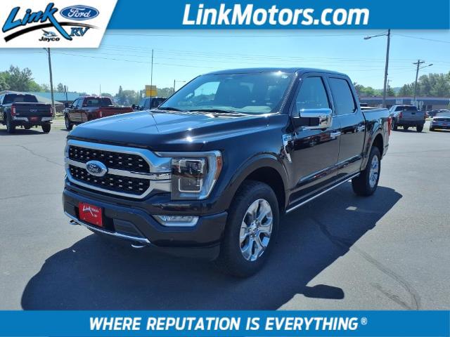 2023 Ford F-150 Platinum for sale in Minong, WI