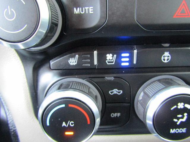 2020 Ram 1500 Laramie Crew Cab 4x4 64 Box
