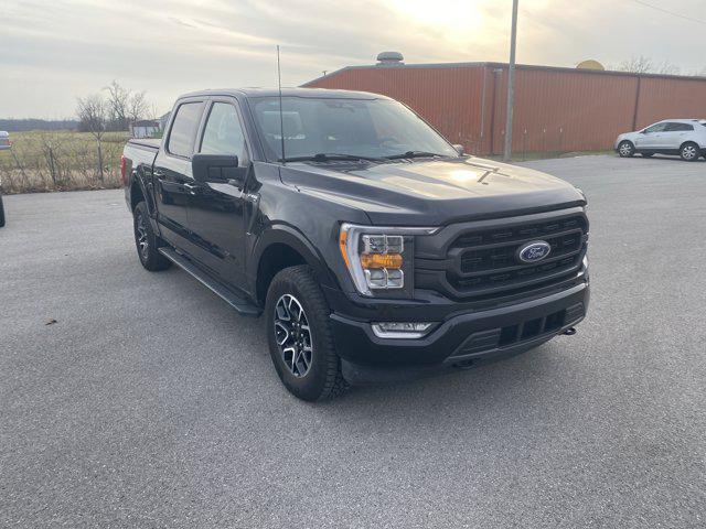 2023 Ford F-150 XL 2023 Ford F-150 XL