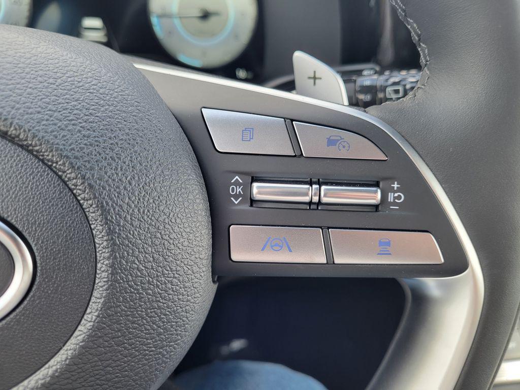 2025 Hyundai Palisade Calligraphy - Photo 19