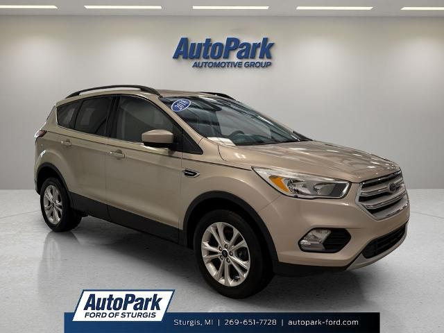 2018 Ford Escape SE for sale in Sturgis, MI