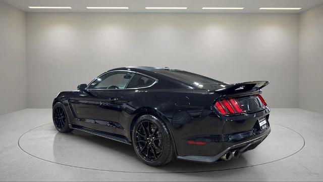 2019 Ford Mustang Shelby GT350 Fastback