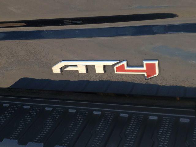 2020 GMC Sierra 1500 4WD Crew Cab Short Box AT4