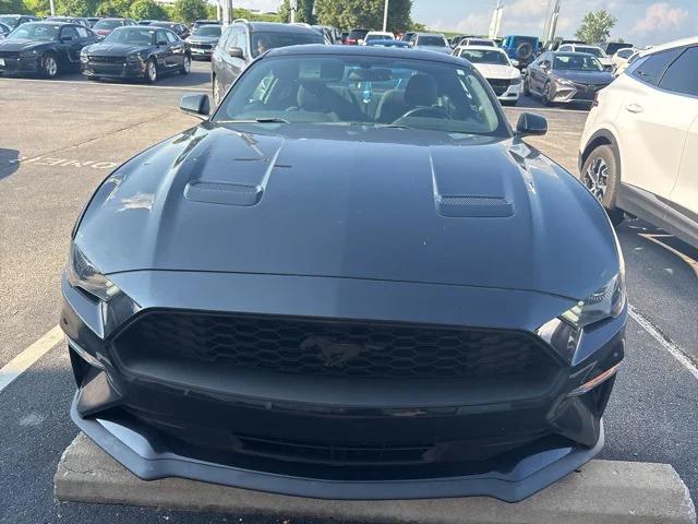 2019 Ford Mustang EcoBoost