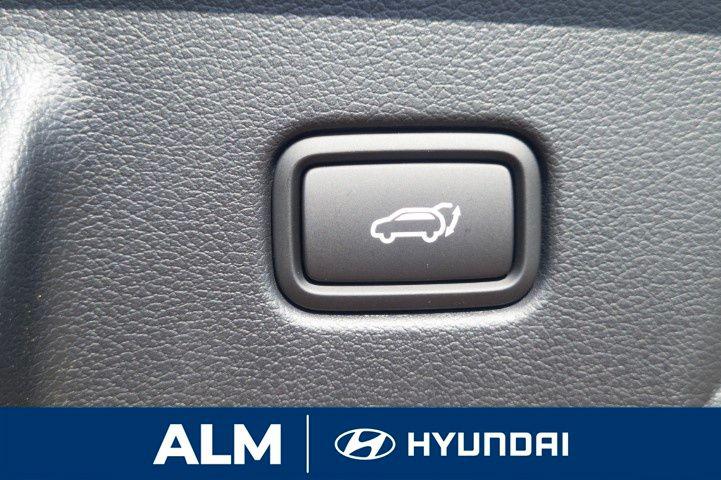 2025 Hyundai Palisade Calligraphy photo 4
