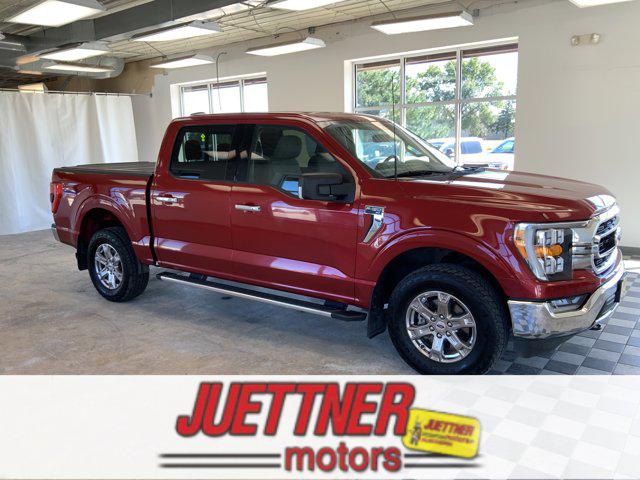 2022 Ford F-150 XLT for sale in Alexandria, MN
