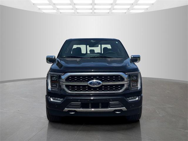 2021 Ford F-150 Platinum 2021 Ford F-150 Platinum