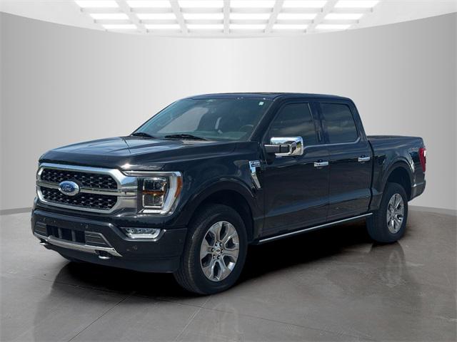 2021 Ford F-150 Platinum 2021 Ford F-150 Platinum