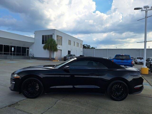 2019 Ford Mustang EcoBoost Premium 2019 Ford Mustang EcoBoost Premium