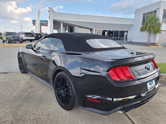 2019 Ford Mustang EcoBoost Premium 2019 Ford Mustang EcoBoost Premium