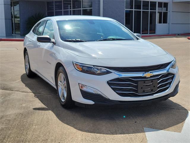 2019 Chevrolet Malibu 1FL