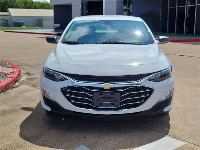 2019 Chevrolet Malibu 1FL