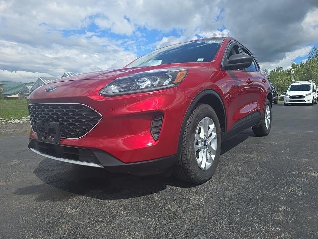2022 Ford Escape SE for sale in Elma, NY