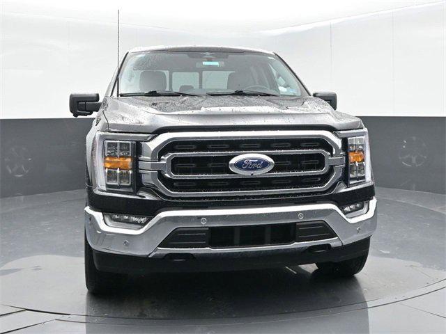 2023 Ford F-150 XLT 2023 Ford F-150 XLT